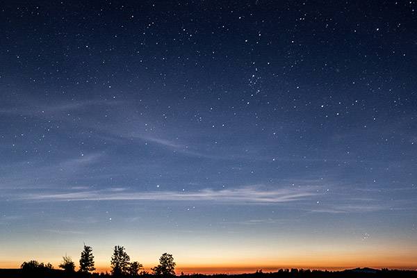 Quelle: stock.adobe.com-tom-w-photography